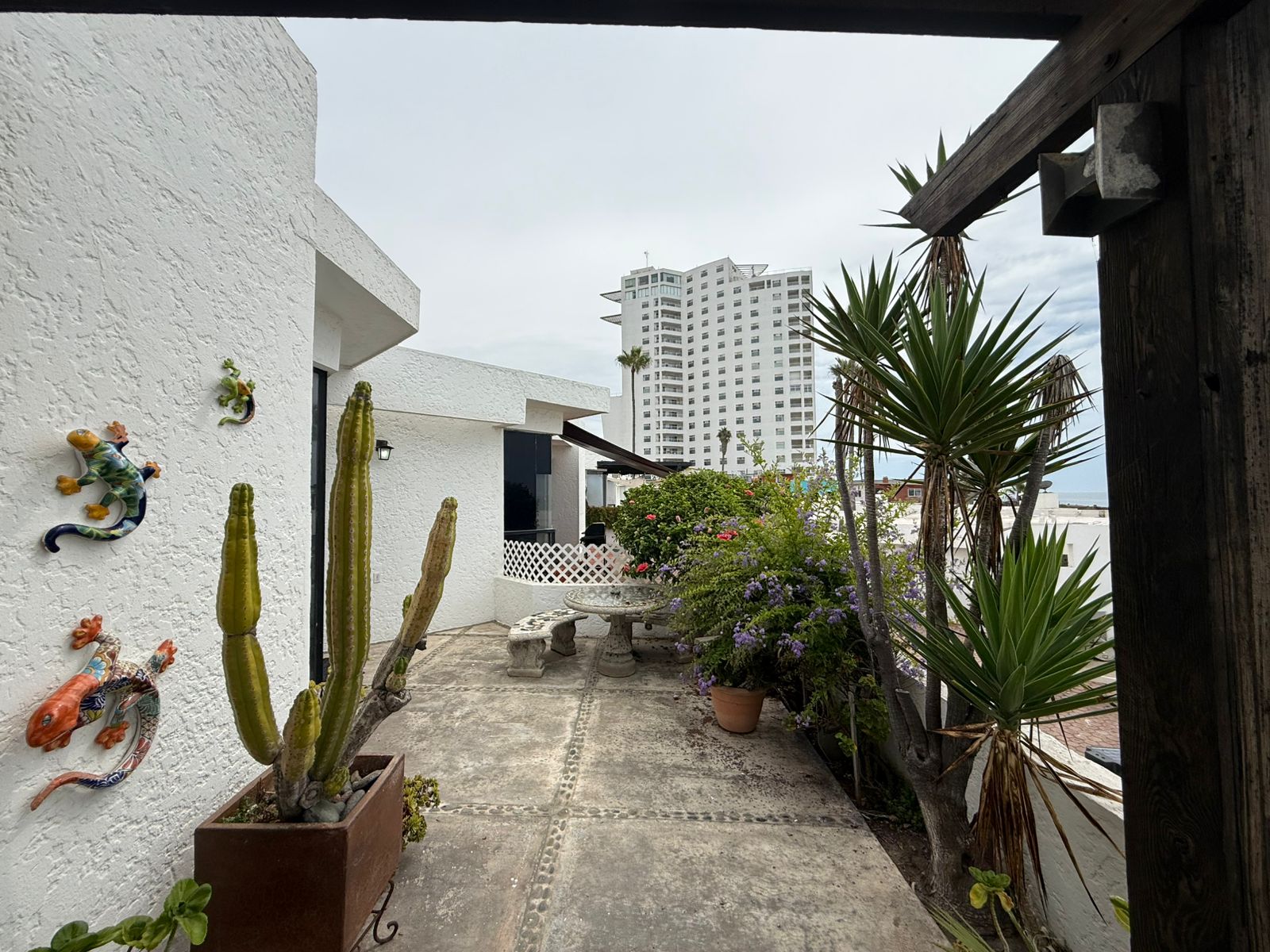 WhatsApp Image 2025-09-17 at 4-28-33 PM (5).jpeg